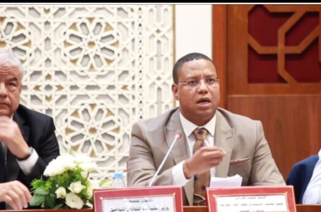 لغروس: ربط التمديد لمجلس الصحافة بمراجعة القوانين لا يستقيم.. وأخلاقيات المهنة تتعرض لانتهاك ممنهج