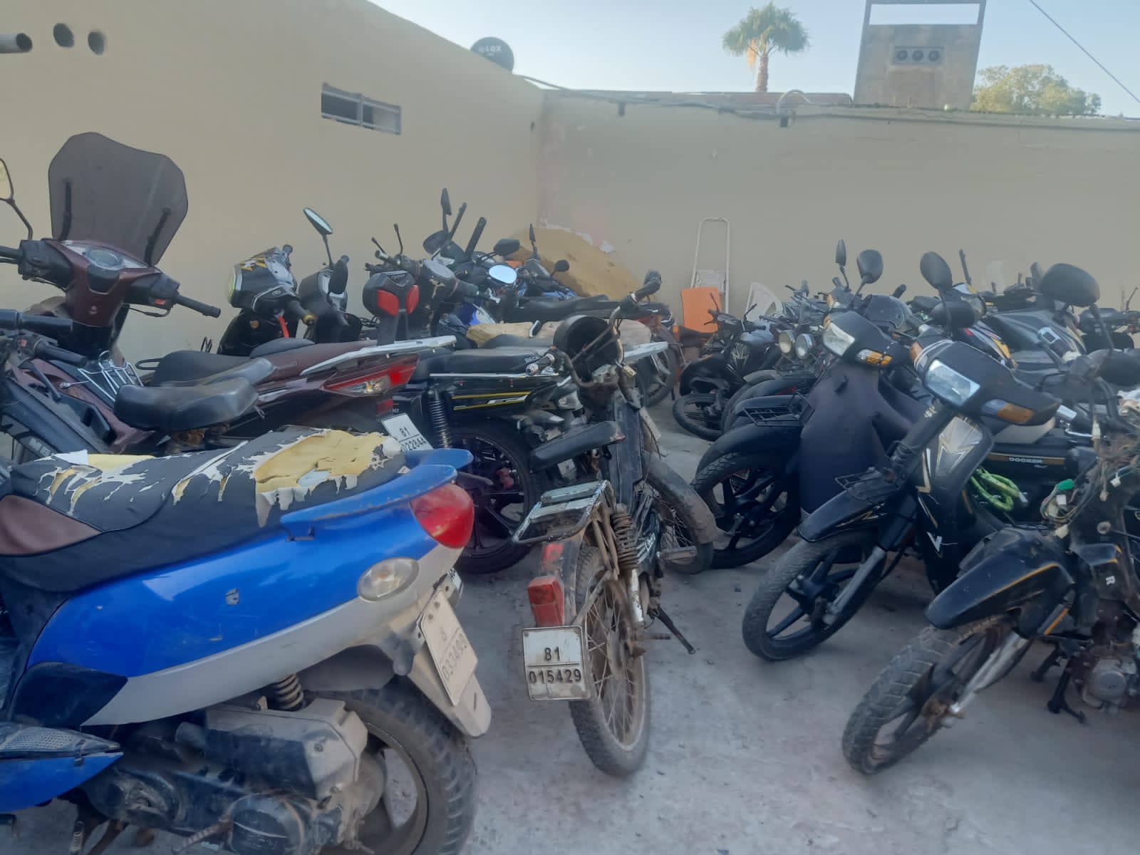 IMG 20230705 WA0114 - ميكرو تي في