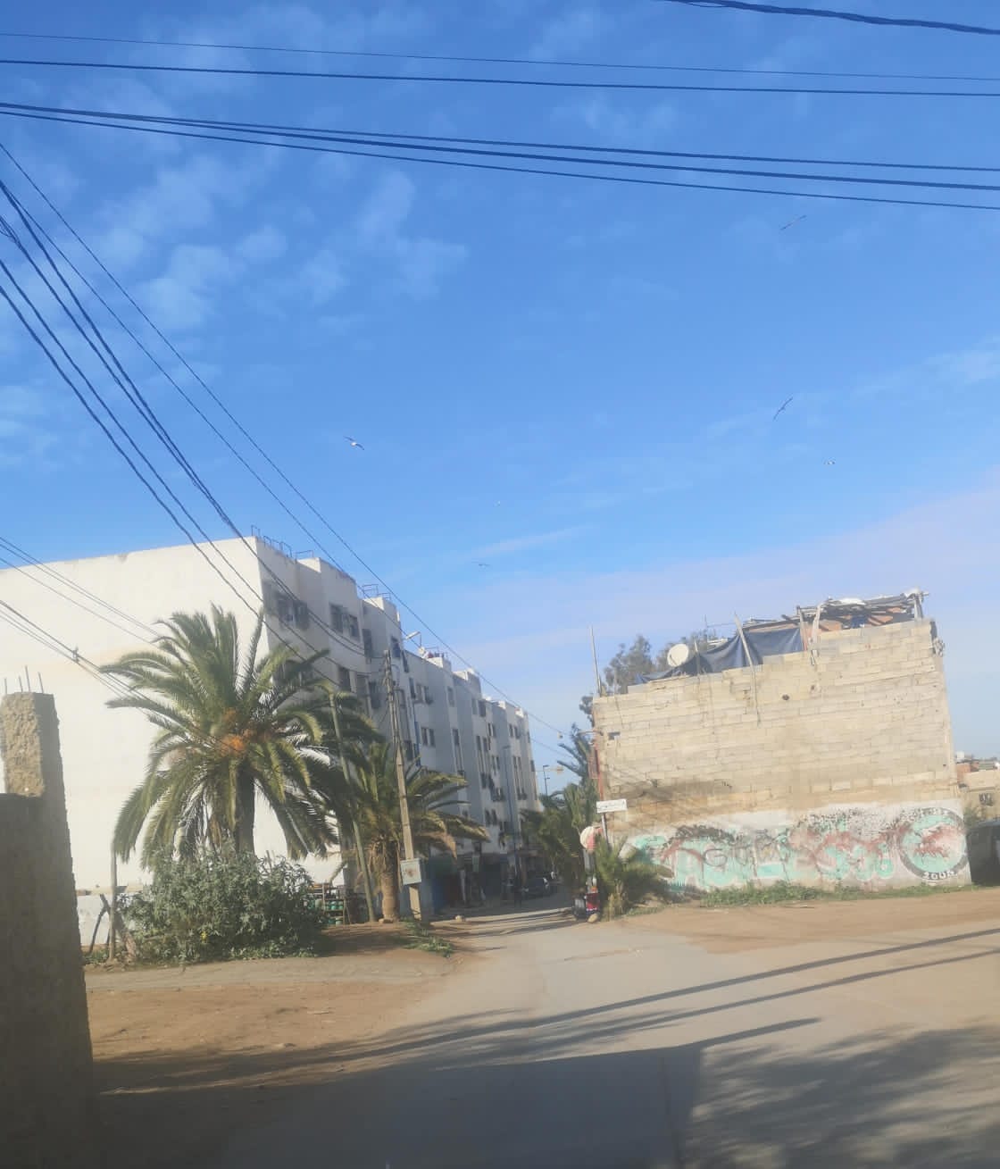 IMG 20240108 WA0079 - ميكرو تي في