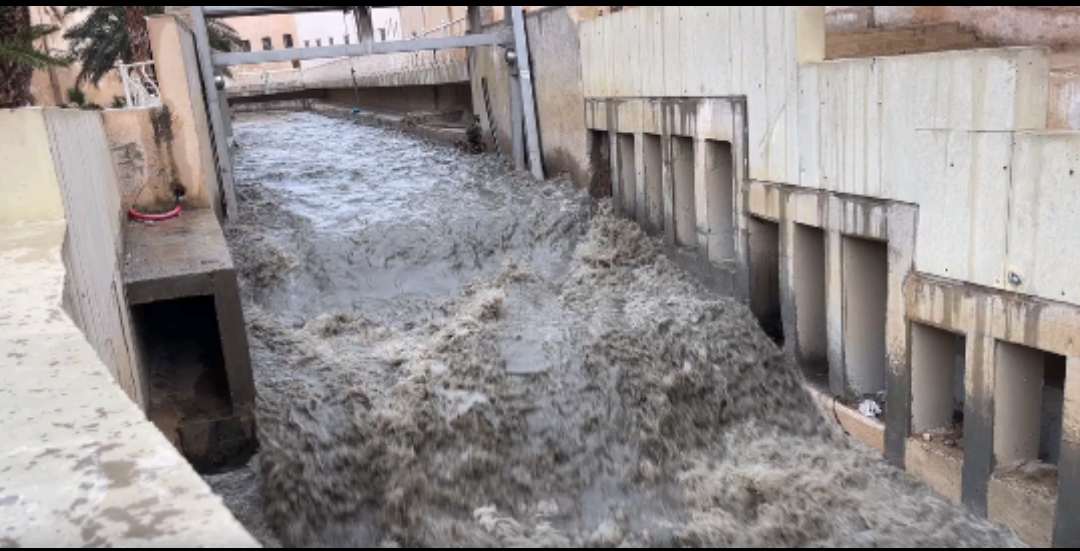 IMG 20240209 WA03071 - ميكرو تي في