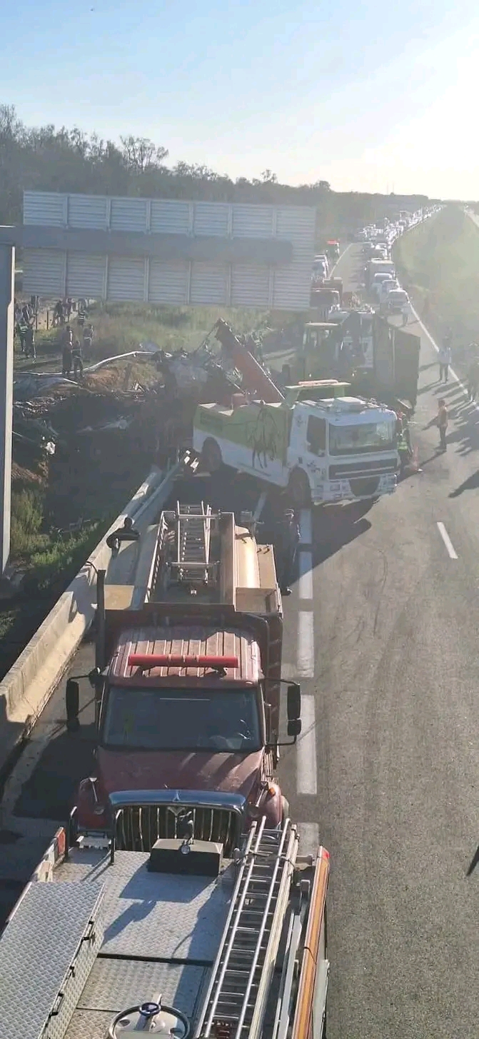1735762976169 - ميكرو تي في