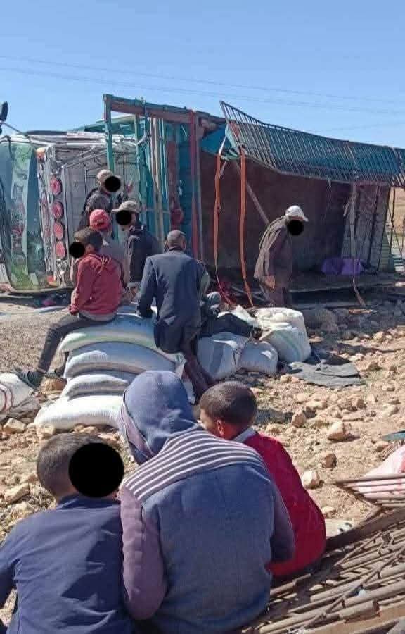 انقلاب شاحنة يتسبب في نفوق عدد من رؤوس الماشية بإقليم آسفي