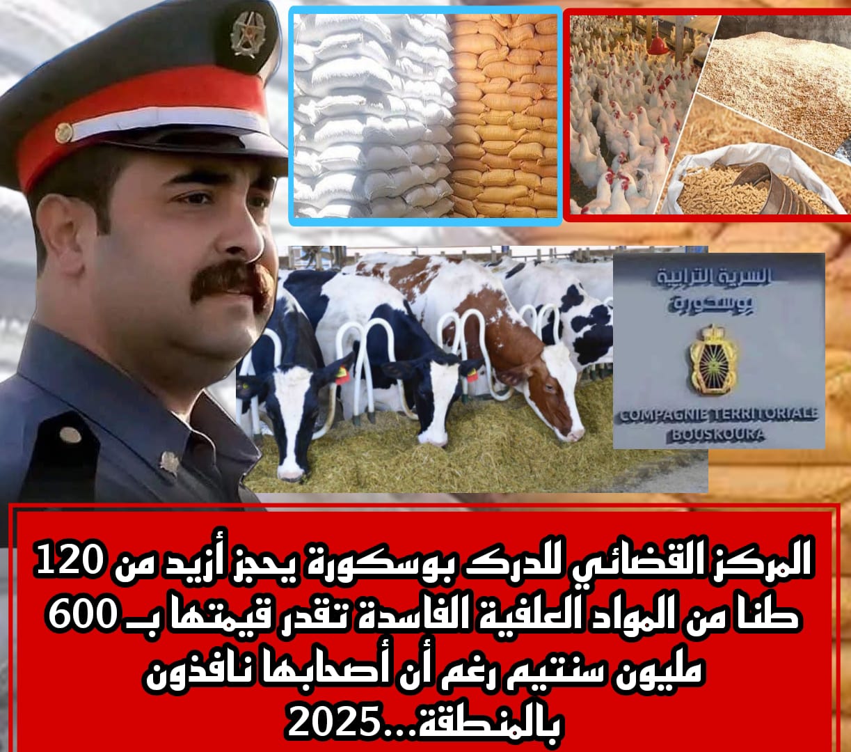 المركز القضائي للدرك بوسكورة يحجز أزيد من 120 طنا من المواد العلفية الفاسدة تقدر قيمتها بـ 600 مليون سنتيم رغم أن أصحابها نافذون بالمنطقة