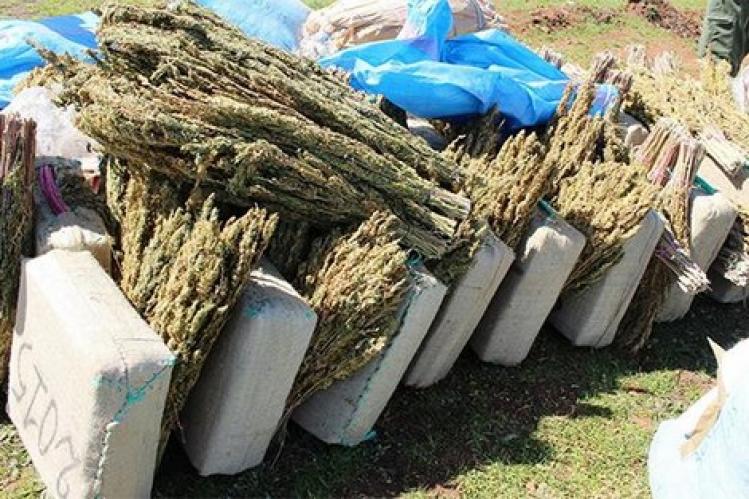 ضبط كمية ضخمة من مخدر الكيف بضواحي إقليم اليوسفية