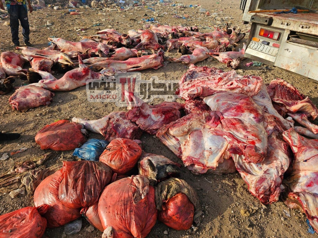 img 1748648516670 - ميكرو تي في