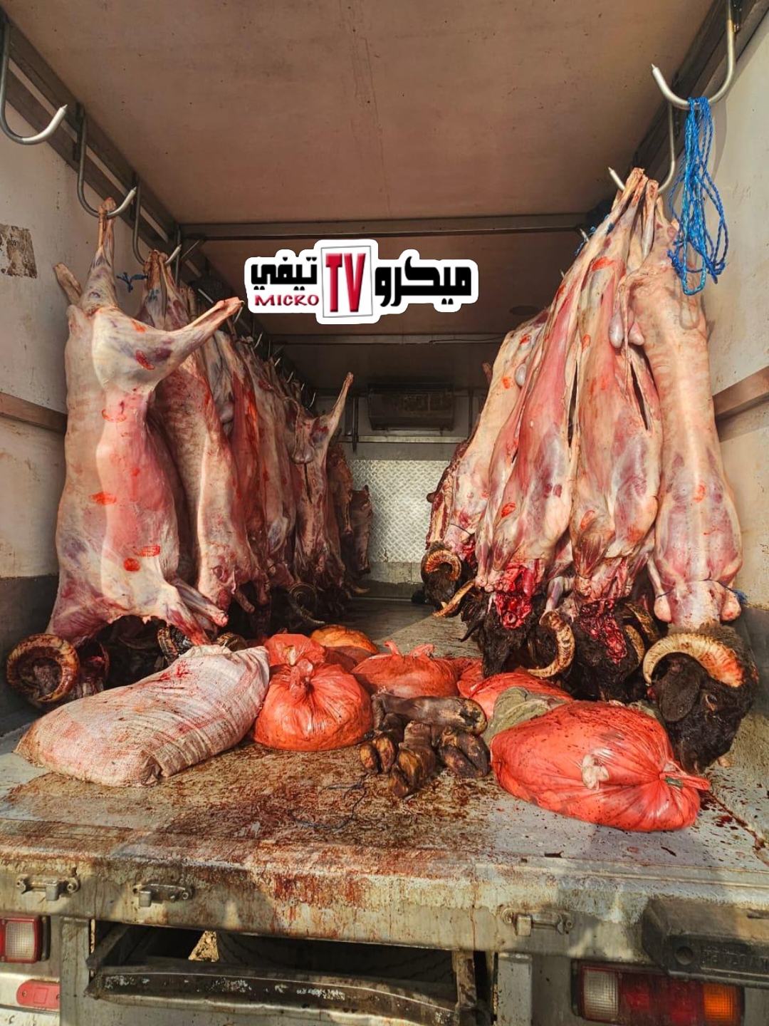 img 1748648606118 - ميكرو تي في