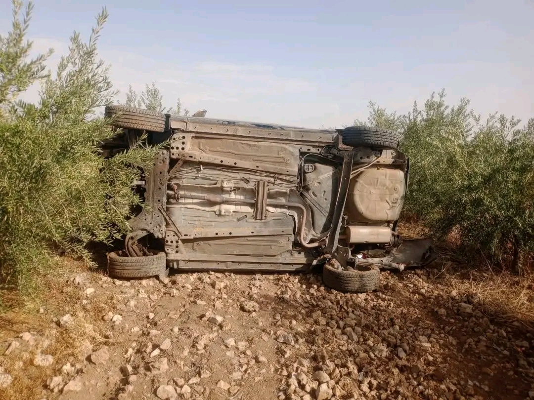 1750879757306 - ميكرو تي في