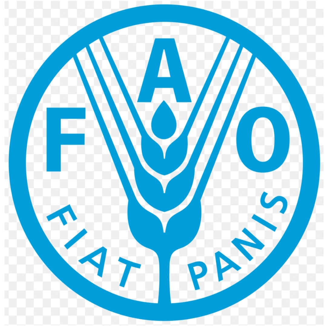 المغرب يُعاد انتخابه بمجلس منظمة الأغذية والزراعة للأمم المتحدة (FAO)