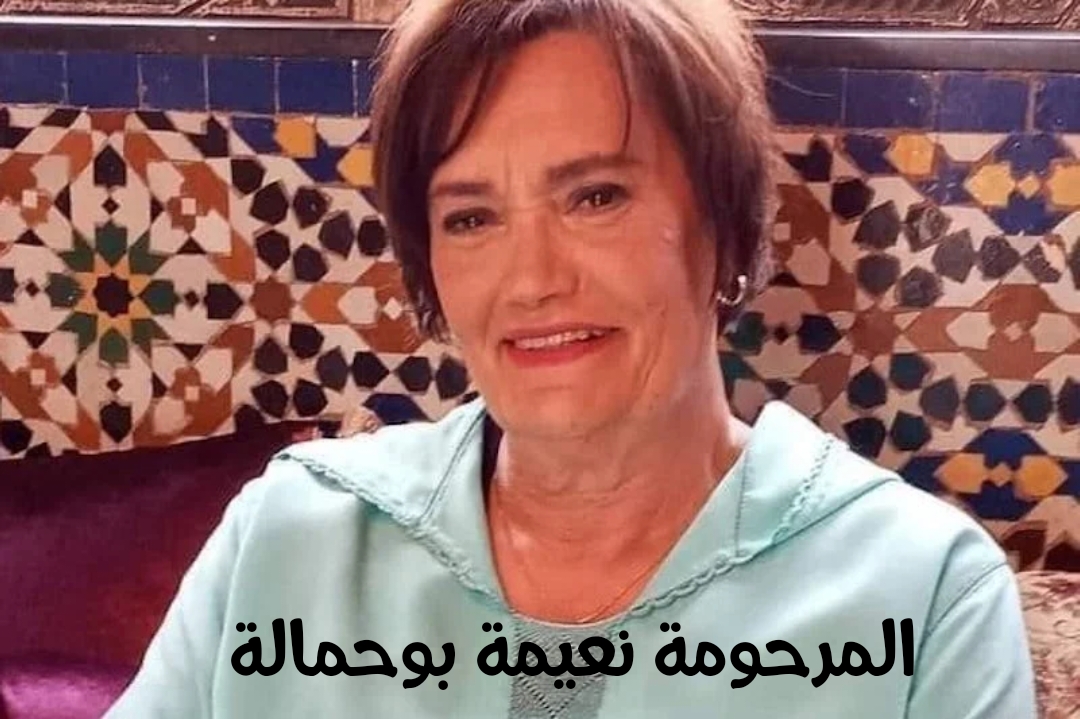 img 1751580428833 - ميكرو تي في