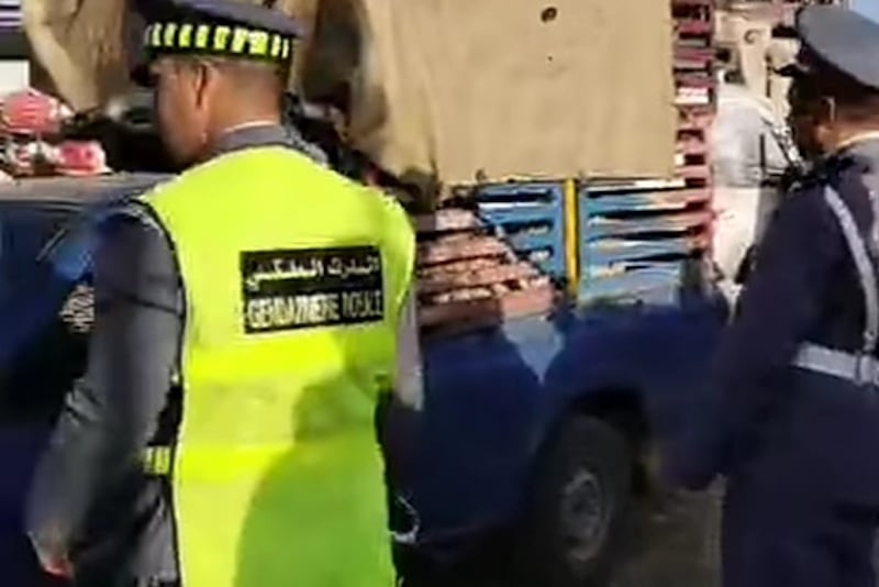 أوقفوه متلبسًا!.. درك سبت جحجوح يضع حدًا لنشاط أخطر سارقي المواشي