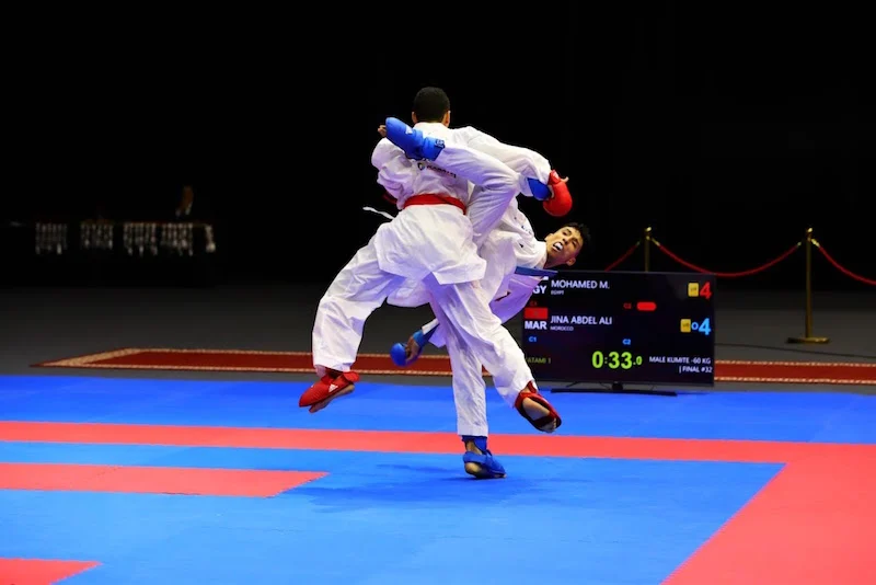 Karate - ميكرو تي في
