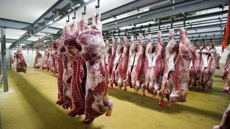 مجازر الدارالبيضاء توضح بخصوص ما راج مؤخرا حول توقف خدماتها تزامنا مع عيد الاضحى 