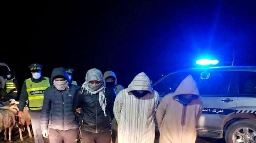 مديونة…الدرك الملكي يوقف عصابة خطيرة كانت تروع السكان بسرقة الماشية!