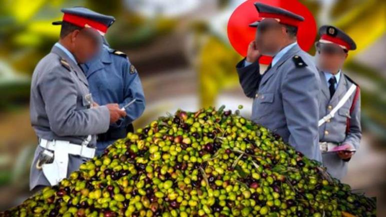 تفكيك أخطر شبكة لترويج الزيت المغشوش بالدروة.. 3 سيارات محمّلة بـ3.7 أطنان واعتقال 5 أشخاص!