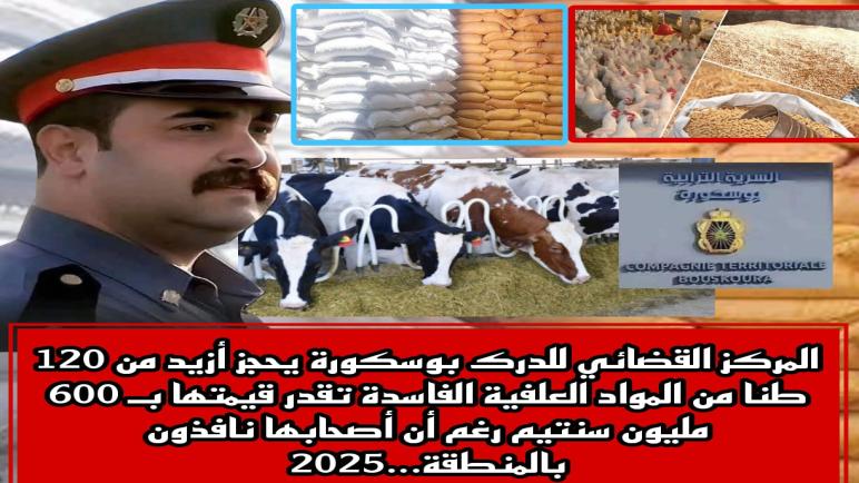 المركز القضائي للدرك بوسكورة يحجز أزيد من 120 طنا من المواد العلفية الفاسدة تقدر قيمتها بـ 600 مليون سنتيم رغم أن أصحابها نافذون بالمنطقة