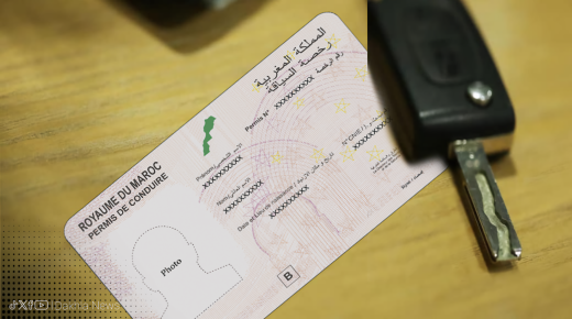 إلغاء رخصة السياقة إثر فقدان مجموع النقط من رصيدها
