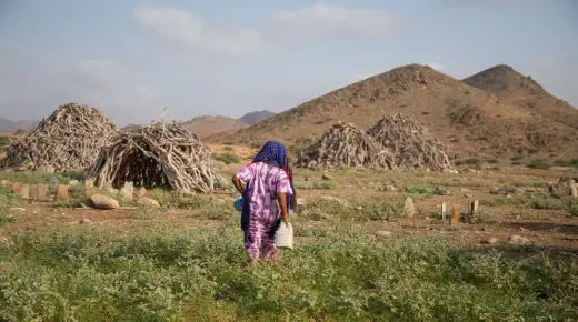 78% من المغاربة يرون التغير المناخي تهديدًا حقيقيًا للمملكة