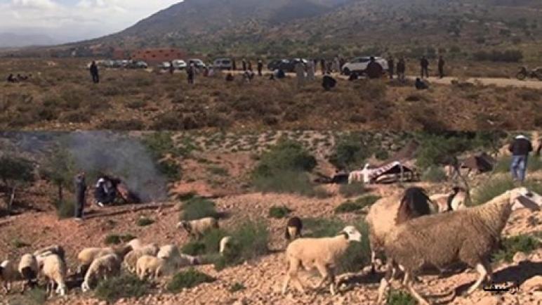 سطات…اعتداء عنيف من الرحّل على أراضٍ فلاحية يخلف إصابات خطيرة